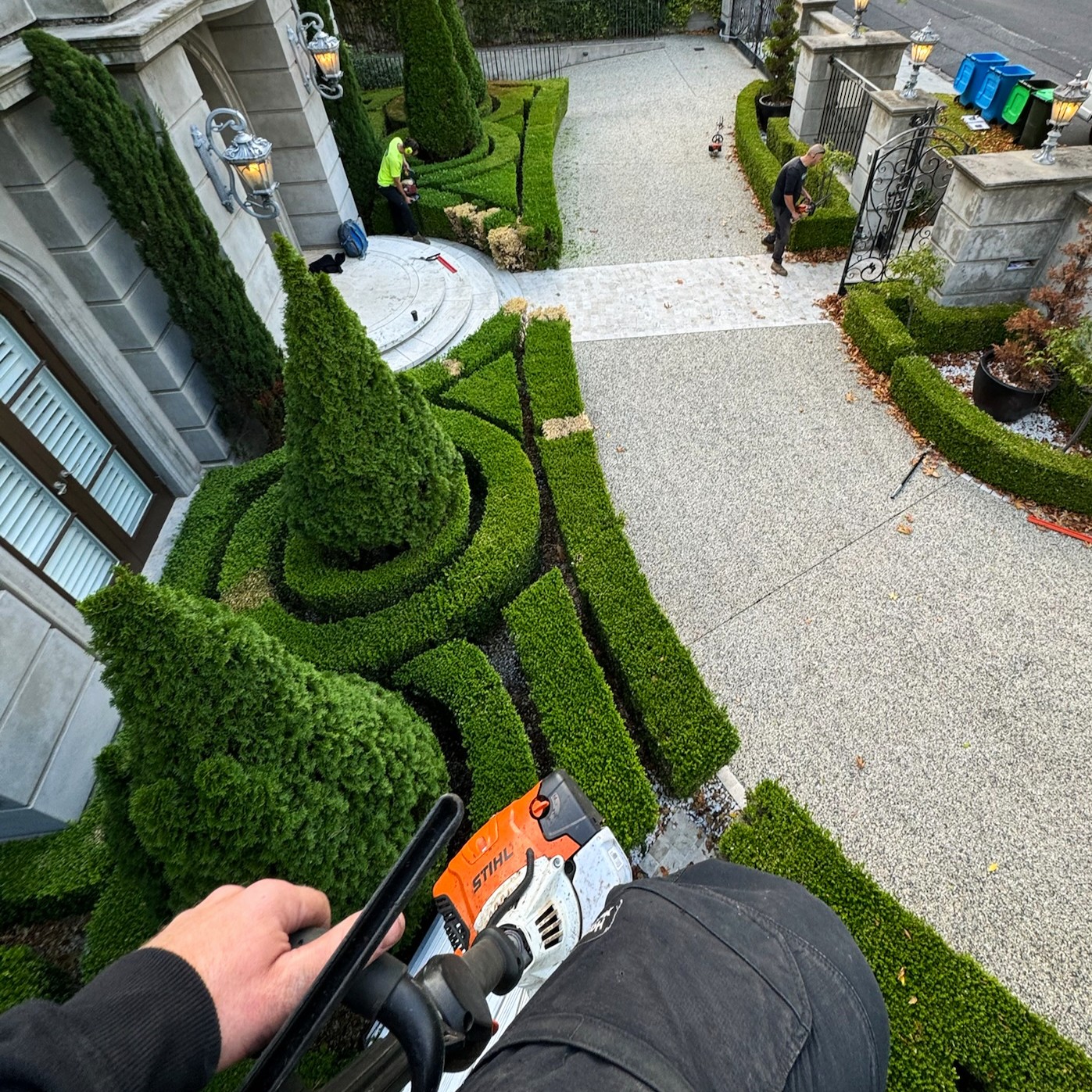 Formal topiary hedge maintenance on Instagram