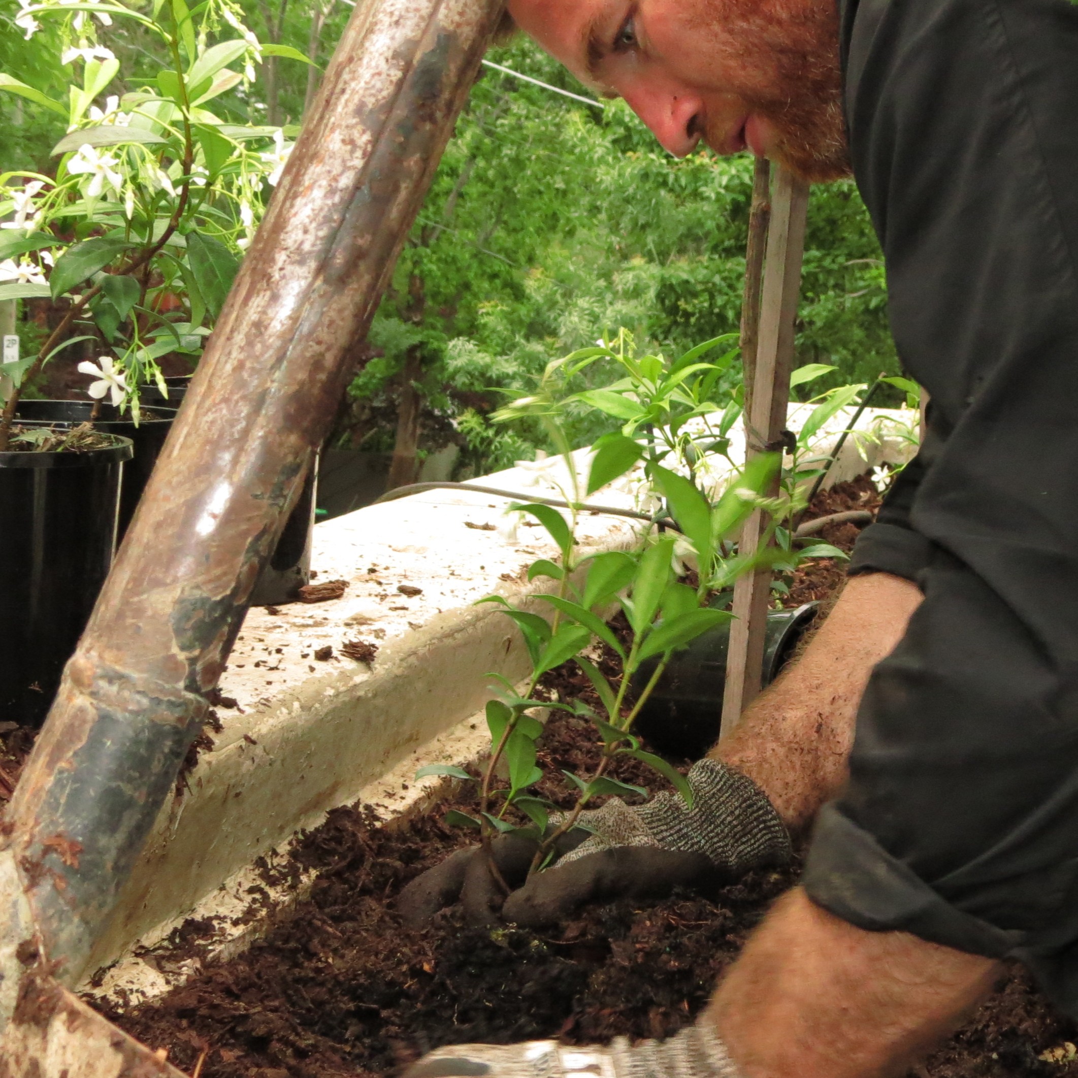 Garden planting and mulching landscaping reel on Instagram